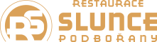 Primary Raster logo